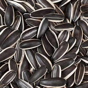 Proceso <span class=keywords><strong>de</strong></span> Secado <span class=keywords><strong>de</strong></span> <span class=keywords><strong>Semillas</strong></span> <span class=keywords><strong>de</strong></span> <span class=keywords><strong>Girasol</strong></span> Descascaradas <span class=keywords><strong>de</strong></span> Gran Tamaño y Diversos Productos para Satisfacer Diferentes Requisitos <span class=keywords><strong>de</strong></span> Precio 361 363 - Product Image 1