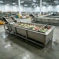 Commerciële fruitwasmachine, drakenvruchtwasmachine, wasmachine voor fruitexport, draagbare fruitwasmachine