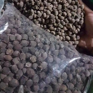 เมอร์เทิลเบอร์รี่อบแห้งออร์แกนิกเพิ่มภูมิคุ้มกันสูตรสะอาด - Product Image 1
