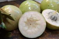 Verse Ster Appel Heerlijk Fruit Met Beste Prijs Goederen Voor Export Naar Vele Markt