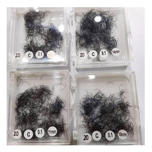 Pestañas Postizas Sintéticas 2D Personalizadas, Pre-Hechas, Voluminosas, Hechas a Mano, Suaves y Lisas, en Bandeja para Salón de Belleza, Listas para Exportación, Extensiones de Pestañas - Product Image 1