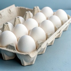 Œufs de poule blancs frais biologiques de haute qualité Jaune d'œuf Prix compétitif Vente en gros Service OEM/ODM Acheteurs mondiaux - Product Image 4