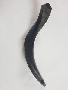 Shofar authentique en corne de buffle, fabriqué avec soin pour une utilisation en cuisine, des rassemblements spirituels, des festivals, des usages religieux - Product Image 4