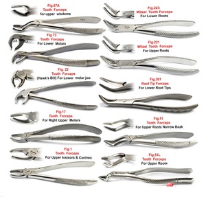 Forceps dentaires manuels en acier de haute qualité pour l'extraction des dents et le desserrage des racines, molaires inférieures/supérieures, réutilisables - Product Image 4