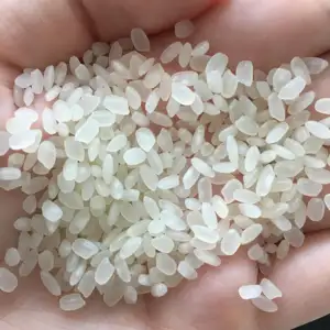Kısa yuvarlak tahıl AD kurutulmuş stil Vietnam Calrose pirinç 24 ay raf ömrü ile F & B % 5% kırık beyaz ortak yumuşak doku