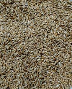 Harina de Pescado y Semillas de Canaria al por Mayor para Perros y Ganado |   Alimento Natural Procesado a Granel de Grado Alimenticio |   Alimento Premium para Aves |   Exportación al por Mayor - Product Image 2
