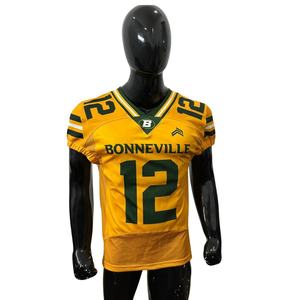 Maillots de football américain personnalisés OEM ODM pour jeunes et adultes, vêtements d'équipe avec nom et numéro, vêtements de sport en maille à panneau - Product Image 2