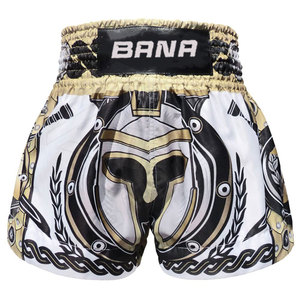 OEM Wholesale Price MMA Shorts Customized Design High Quality Men's Casual <b>Stretch</b> Boxing Wear for Adult - Product Image 1