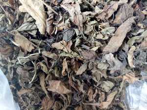 AllNatural Feuilles de gelée d'herbe pour le bien-être et le rafraîchissement Promouvoir la santé digestive avec des feuilles de gelée d'herbe Desserts - Product Image 2