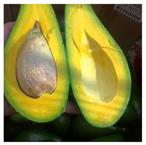 100 pour cent moitiés d'avocat congelées naturelles meilleures offres pour la vente en gros - Product Image 3