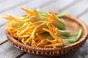 ETIQUETA LIMPIA FLOR CALABAZA ENTERA CONGELADA VEGETAL ORGÁNICO RICO EN NUTRIENTES APOYO INMUNE BASADO EN PLANTAS - Product Image 5