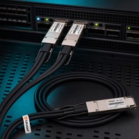 Câble de dérivation DAC passif à ailettes 400G OSFP vers 2x 200G QSFP56 pour interconnexion rack Switch vers NIC