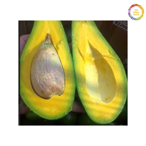 Aguacate congelado hecho de aguacate fresco para bebidas, confitería y procesamiento de alimentos congelados, de Vietnam - Product Image 6