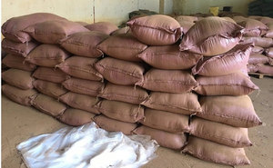 Joss Powder: material natural, perfecto para elaborar incienso Premium, alta calidad con ofertas atractivas de proveedores de Vietnam - Product Image 5