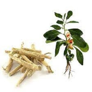 Himalaya natural Ashwagandha extracto puro orgánico Ashwagandha en polvo (Withania somnifera) - Product Image 1