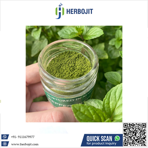 Herbojit International – Nouvelle poudre de menthe naturelle de qualité supérieure, séchée par atomisation, qualité alimentaire, paquet de 25 kg, fournisseur direct d'usine - Product Image 6