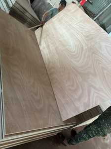 Décorations de meubles d'extérieur industrielles modernes commerciales 28mm Okume Bintangor feuille de contreplaqué de visage de pin E1 émission de formaldéhyde - Product Image 5