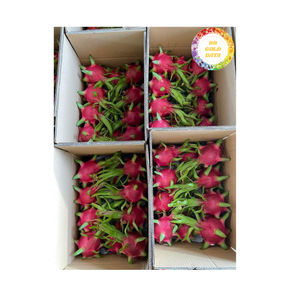 ผลไม้เขตร้อนผลไม้สีขาวสดของเวียดนามสำหรับร้านอาหารร้านขายน้ำผลไม้และการผลิตอาหาร - Product Image 2