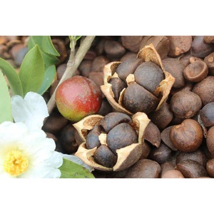 Venta caliente aceite de semilla de Camelia orgánico puro de Vietnam para la salud del corazón y beneficios nutricionales al por mayor - Product Image 2