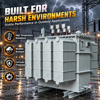 Transformateur de puissance triphasé immergé dans l'huile 700 KVA, moyenne tension, faible perte, sortie personnalisée 400V réseau