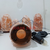 Lampe au sel rose de l'Himalaya authentique 1-2 kgs style Feng Shui purificateur d'air naturel sculpté et veilleuse relaxante