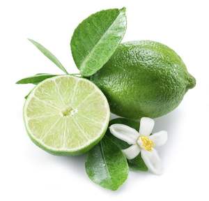 Limes vertes sans pépins en gros, prix Vietnam, approvisionnement en vrac frais pour l'industrie des boissons, haute capacité, haute qualité, durée de conservation de 12 mois - Product Image 3