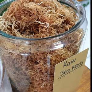 Seamoss seco orgánico puro precio competitivo - Product Image 3