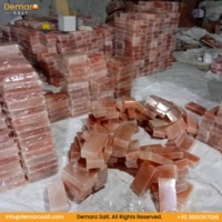 Élégantes tuiles de sel rose de l'Himalaya naturel 20x10x5 cm, sculptées, pour la décoration murale des salles de spa, nouvelle technique, sel Demaro.