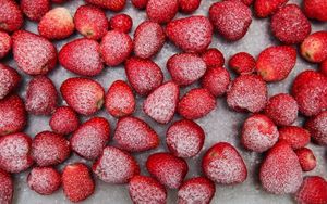 สตรอเบอรี่อบแห้งสำหรับโรยหน้าไอศกรีมแพ็คผสมของว่างและอุตสาหกรรมอาหารจากเวียดนามขายส่ง2025 - Product Image 3