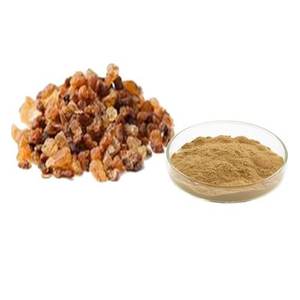 ผงสารสกัดจาก Gugul สารสกัดจาก10:1 - Product Image 4