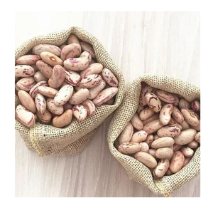 Meilleur prix Haricots Pinto séchés/Haricots mouchetés légers Stock en vrac disponible avec emballage personnalisé - Product Image 4