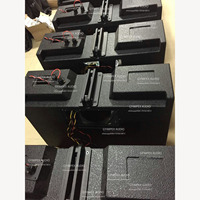 Altavoces de neodimio con componentes de tres vías de 2*10 '', gabinete vacío de madera contrachapada de abedul, altavoces de matriz de línea profesional