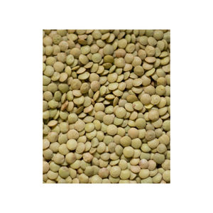 Lentilles du fournisseur en gros à vendre à prix raisonnable - Product Image 5