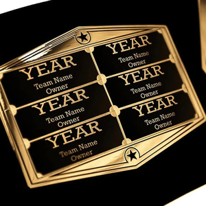 United States & World Heavyweight Wrestling Championship Belt-Adult Size High Quality Brass & Zinc & Leather Unisex - Product Image 6