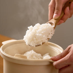 Sistema de utensilios de arroz Calobowl Low Carb de fabricación coreana - Product Image 1