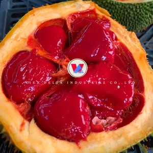 ผง GAC และน้ำมันผลไม้ GAC ออร์แกนิกเวียดนาม | ส่วนผสมซูเปอร์ฟรุตเกรดพรีเมี่ยมจากเวียดนาม - Product Image 4