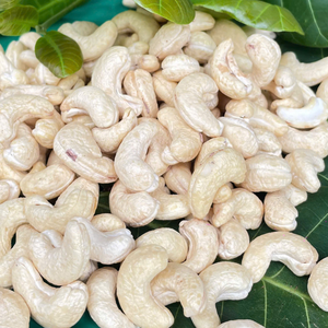 Hot Sale Cashew W240 Cashew Nuts Free Tax Origin Vietnam Santigo Company - Product Image 1