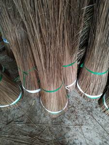 Bâtons de balai de noix de coco/BÂTON DE BALAI NIPAH/Bâton de coco de balai de noix de coco en 2024 - Product Image 3