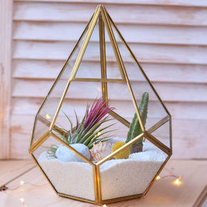 Brass Glass Pentagon Regular Geometric Terrarium Container Miniature Outdoor <b>Fairy</b> Garden <b>Gift</b> Customized Size & Style - Product Image 6
