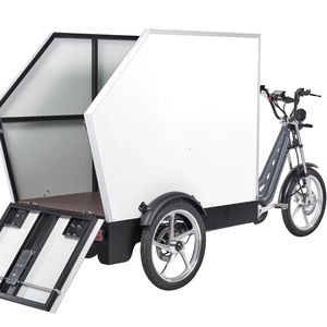 Triciclo Eléctrico de Carga con Carrocería Abierta, Ecológico y Eficiente para Entregas Urbanas - Product Image 1