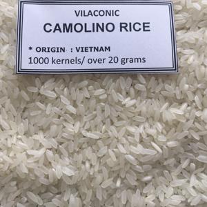 Camolino Rice | Whatsapp: + 84.865.381.935 (Mme Kathy) - Product Image 4