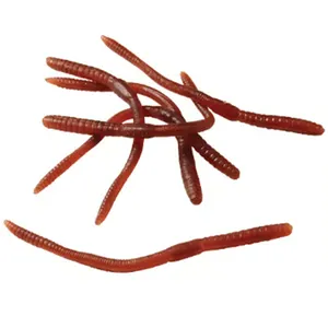 Worm Sticks worm lure soft insect model Trick Toy for kids