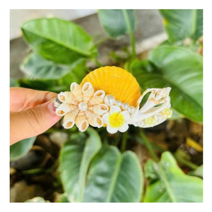 Authentic Seashell <b>Hair</b> Clips Handmade In Vietnam, Elegant Pocket <b>Hair</b> Clips With Natural Shells <b>For</b> Seashell <b>Hair</b> Clips Summer - Product Image 3