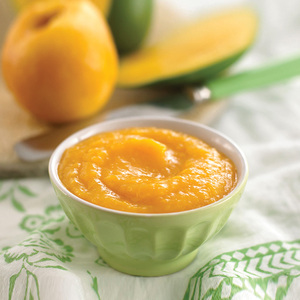 PUREE DE MANGUE SÉCHÉE D'UN FOURNISSEUR VIETNAMIEN AVEC 100% INGRÉDIENTS DE MANGUE-LE MEILLEUR CHOIX POUR VOUS - Product Image 4