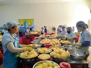 Fournisseur en gros de fruits en vrac, mangue séchée 100% naturelle, fruits déshydratés sucrés et délicieux de qualité supérieure Vietnam - Product Image 5