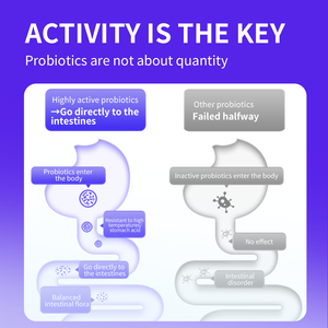 Thức ăn cho chuột <span class=keywords><strong>hamster</strong></span> YEE OEM, bổ sung lợi khuẩn, thức ăn cho thú cưng nhỏ - Product Image 3