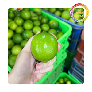 เขียวมะนาวไร้เมล็ดจากเวียดนาม | เครื่องดื่มฤดูร้อนที่ดีที่สุด | อุดมไปด้วยวิตามิน - Product Image 4