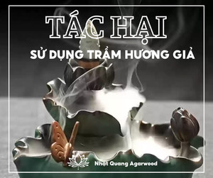 Madera aserrada para muebles y uso doméstico para suministros de jardín - Product Image 5