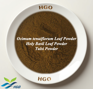 HGO Fournisseur direct d'usine de poudre de feuilles de basilic sacré Ocimum tenuiflorum, poudre de Tulsi, qualité alimentaire 5:1 10:1 20:1, poudre moulue - Product Image 1