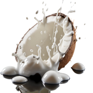 Leche de Coco Enlatada de Vietnam |   Ideal para Restaurantes y Fábricas - Product Image 4